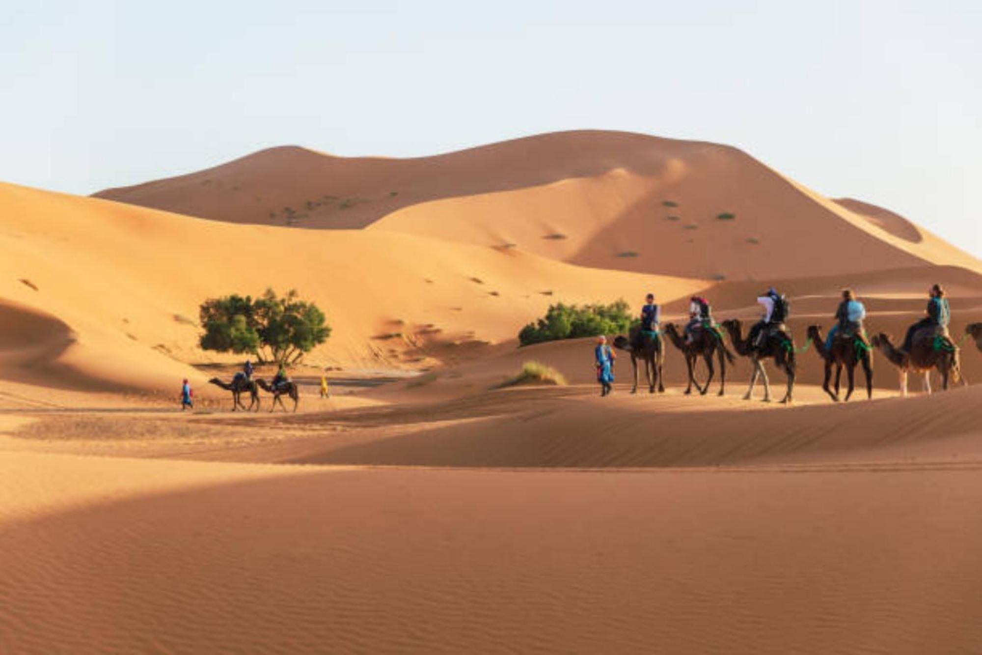 Desert Berber Fire Camp เมอร์ซูกา ภายนอก รูปภาพ